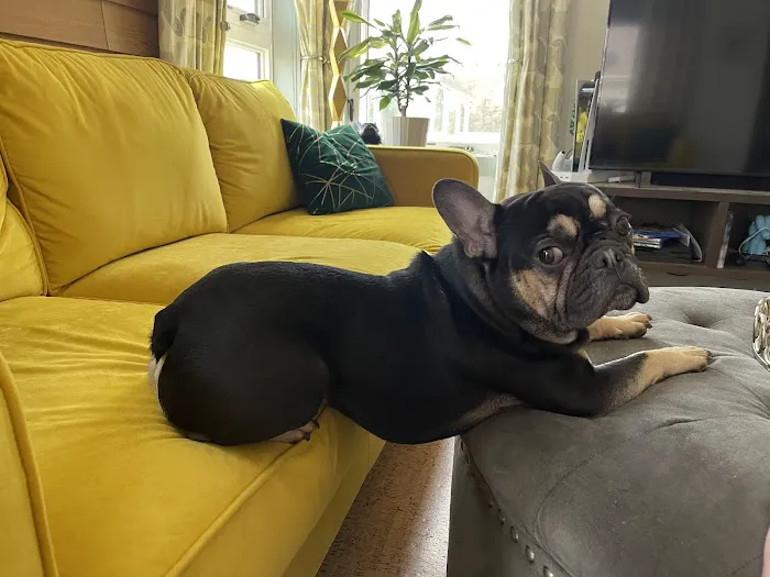 Parkview Animal Hospital Picture 3