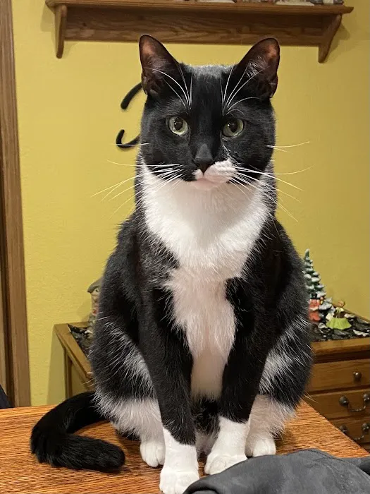 Parkview Animal Hospital Picture 2