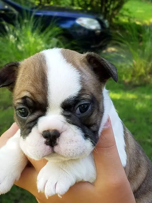 Parkview Animal Hospital Picture 5