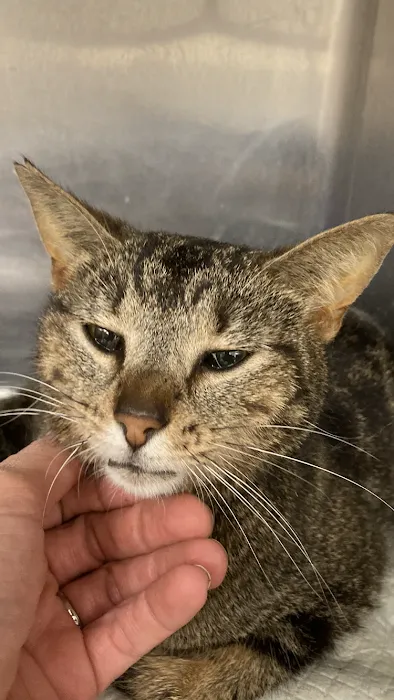 Parkview Animal Hospital Picture 10