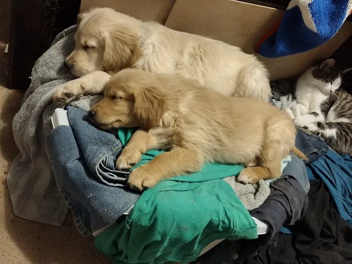 Midway Veterinary Clinic Picture 1