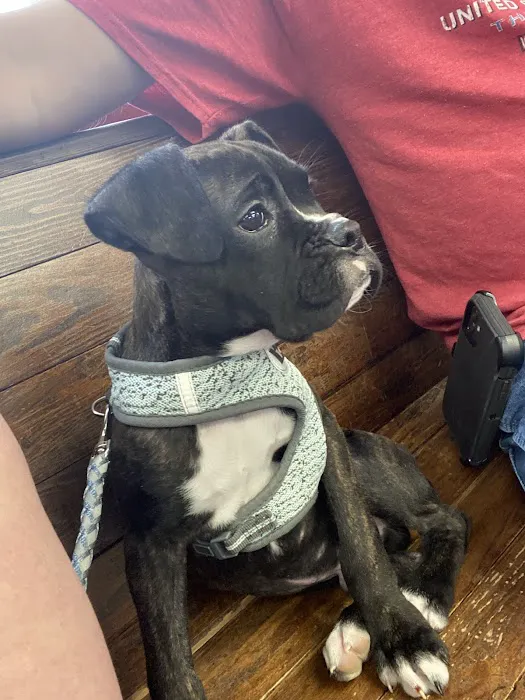 Midway Veterinary Clinic Picture 2