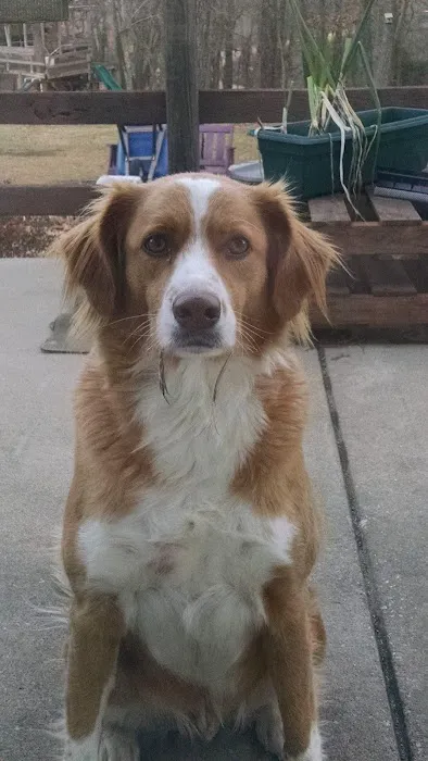 Midway Veterinary Clinic Picture 3