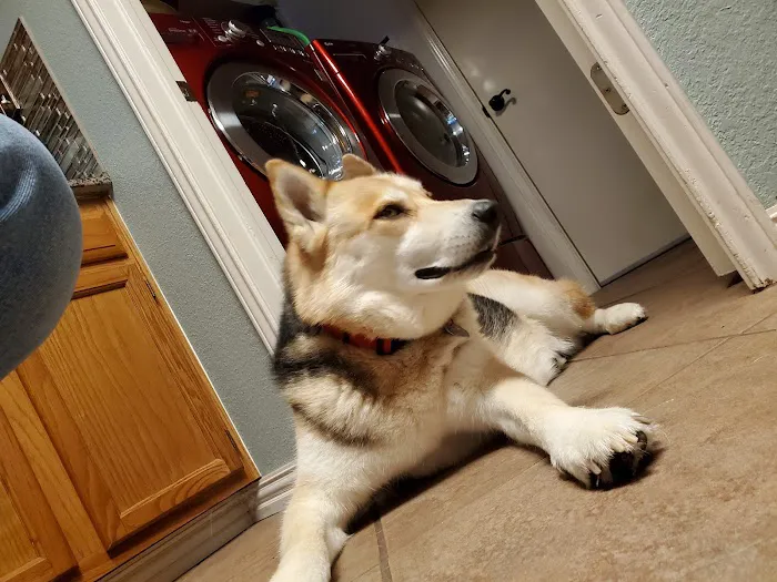 Midway Veterinary Clinic Picture 5