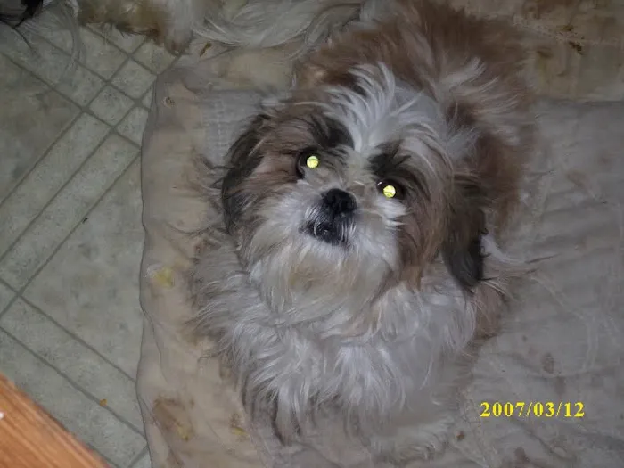 Midway Veterinary Clinic Picture 4