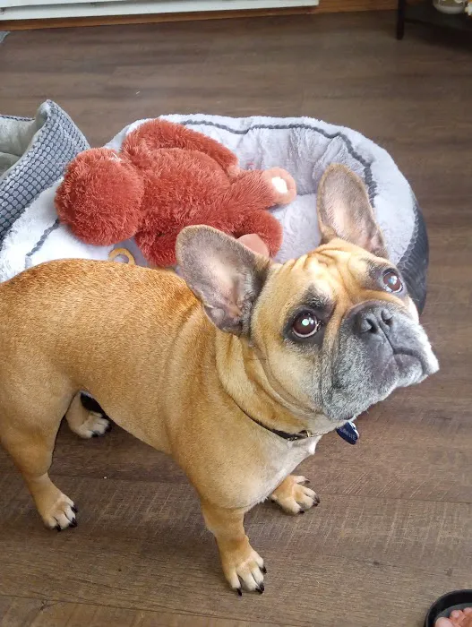 Midway Veterinary Clinic Picture 8