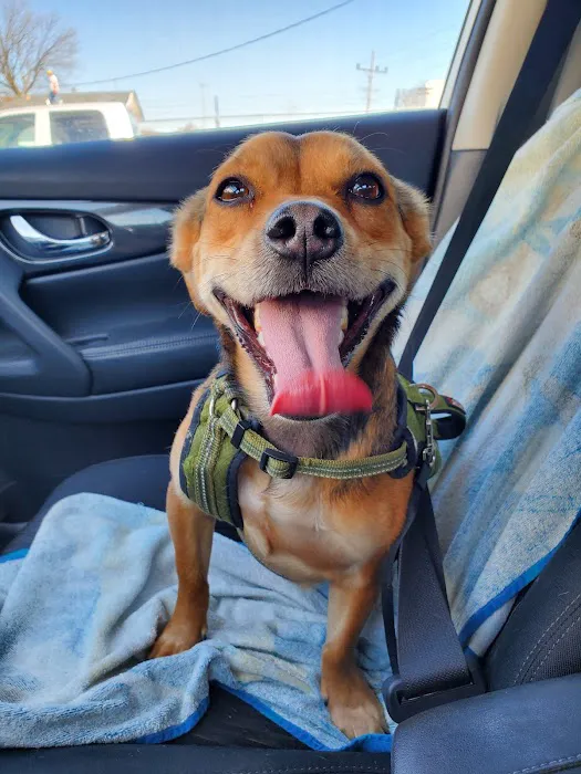 Midway Veterinary Clinic Picture 9