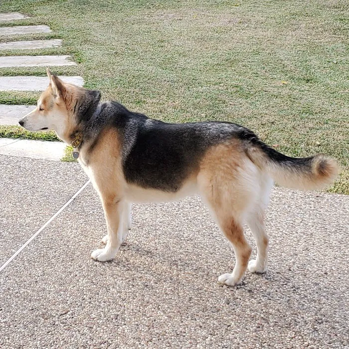 Midway Veterinary Clinic Picture 7