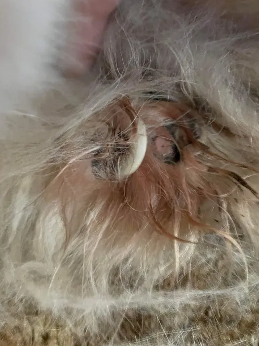 Midway Veterinary Clinic Picture 10