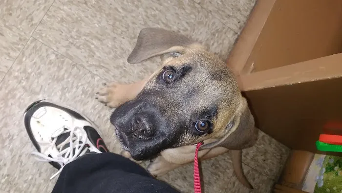 Anderson Animal Hospital Picture 3