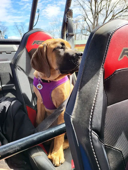 Anderson Animal Hospital Picture 10