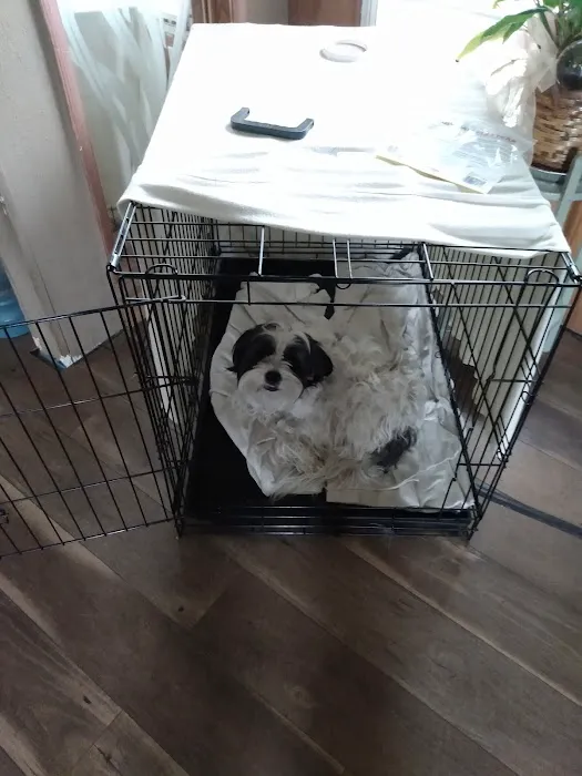 Anderson Animal Hospital Picture 5