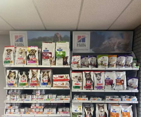 Barnes veterinary hospital