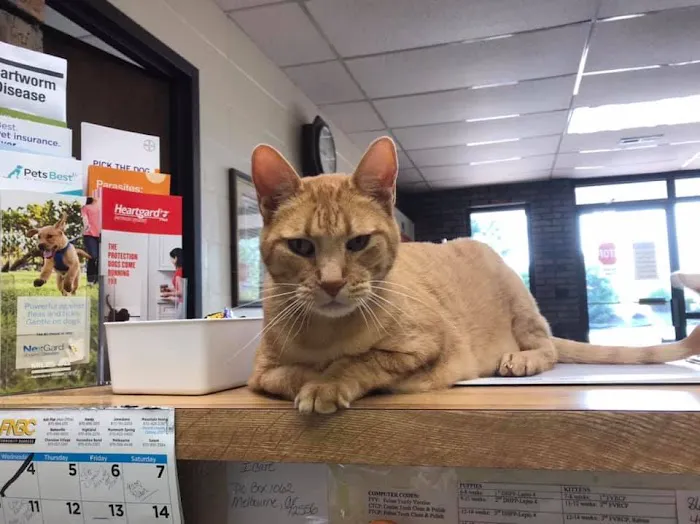 Barnes veterinary hospital Picture 6