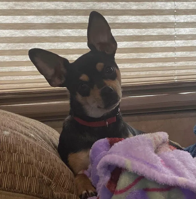 Barnes veterinary hospital Picture 9