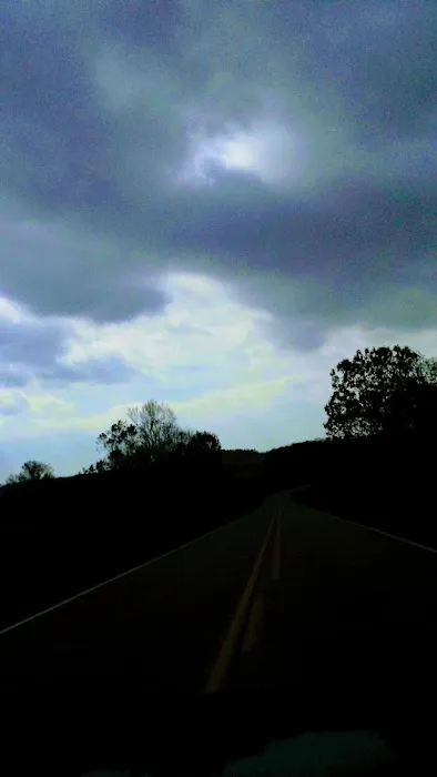 North Arkansas Veterinary Clinic Picture 5