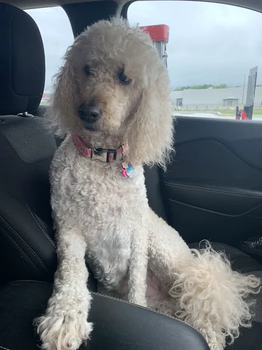 North Arkansas Veterinary Clinic Picture 4