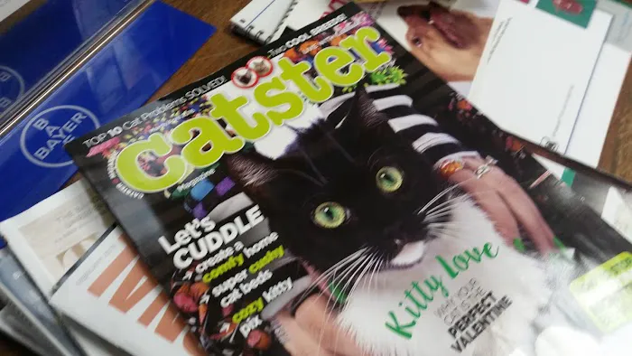 Animal Medical Center Picture 5