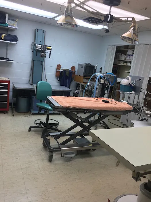 Animal Medical Center Picture 1