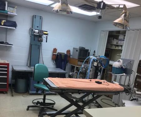 Animal Medical Center