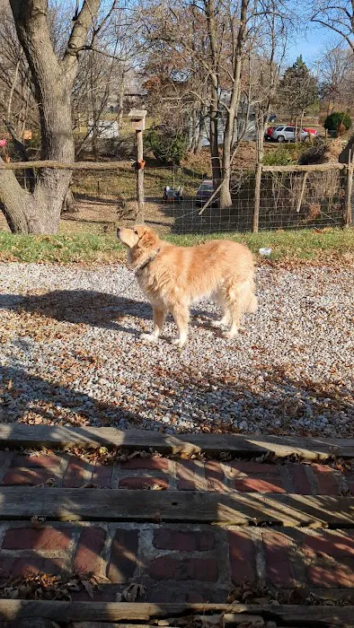 Animal Medical Center Picture 7