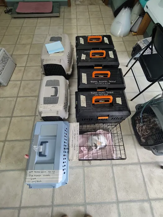 I'm Your Huckleberry Spay & Neuter Clinic Picture 4