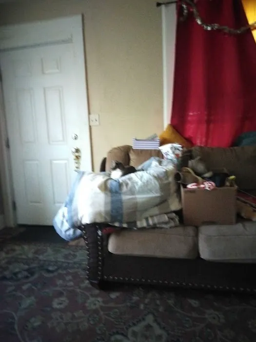 I'm Your Huckleberry Spay & Neuter Clinic Picture 2