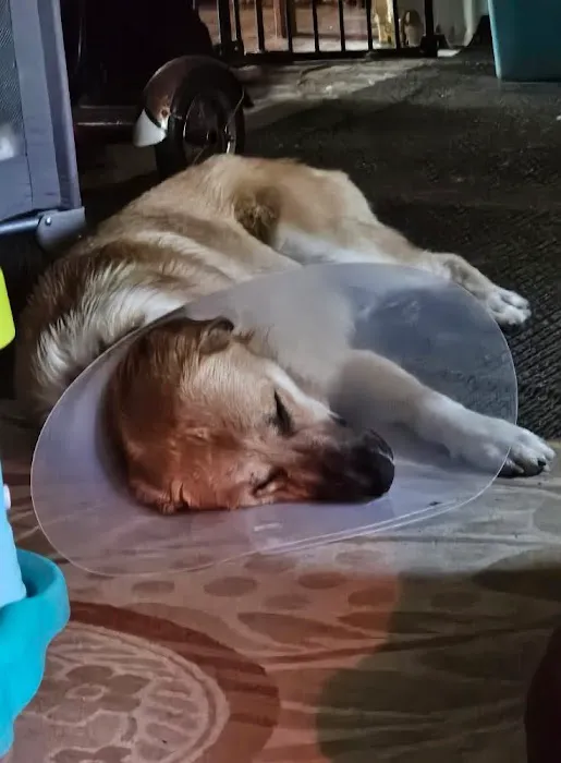 I'm Your Huckleberry Spay & Neuter Clinic Picture 1