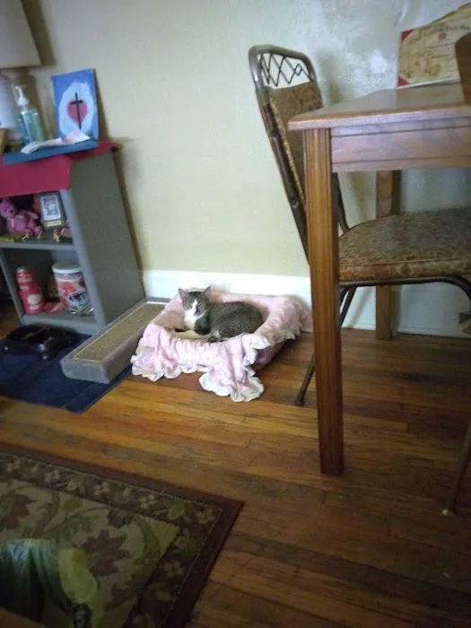 I'm Your Huckleberry Spay & Neuter Clinic Picture 3