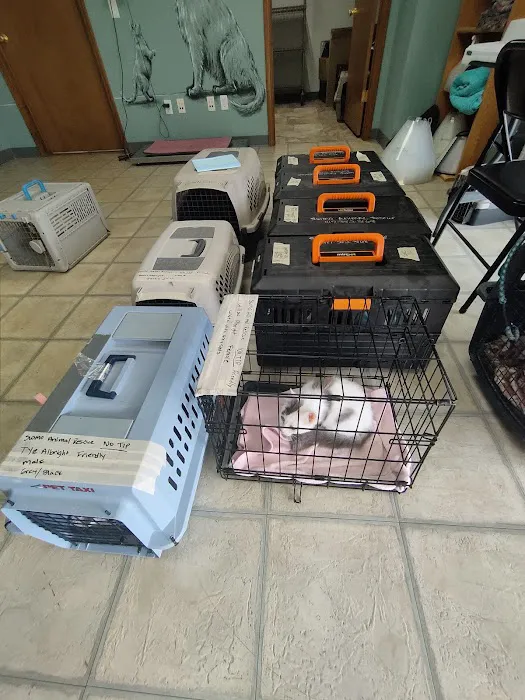 I'm Your Huckleberry Spay & Neuter Clinic Picture 6