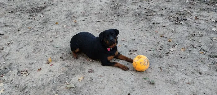 Southwest City Vet Clinic Picture 1