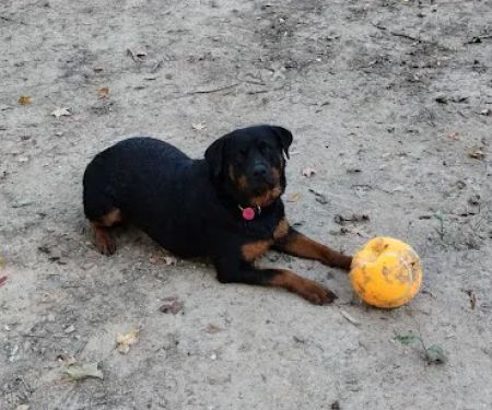 Southwest City Vet Clinic