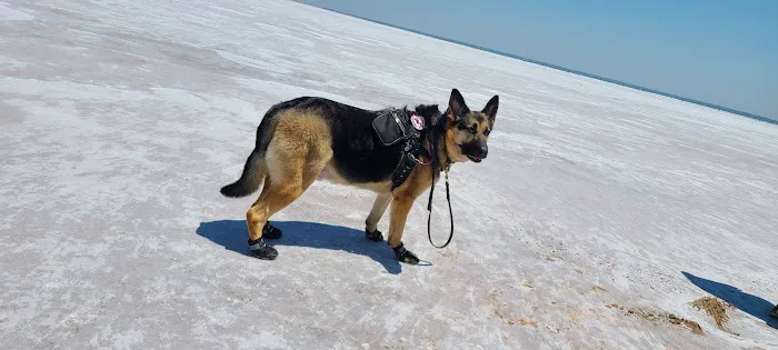 Southwest City Vet Clinic Picture 4