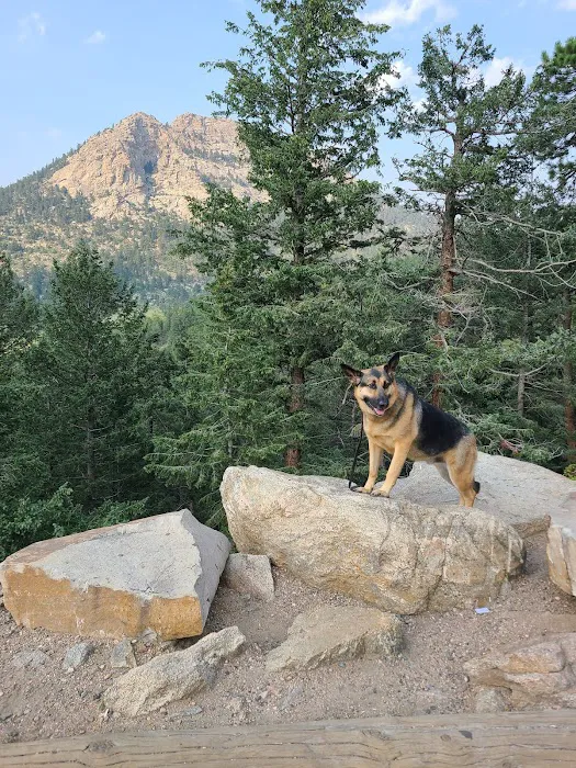 Southwest City Vet Clinic Picture 5