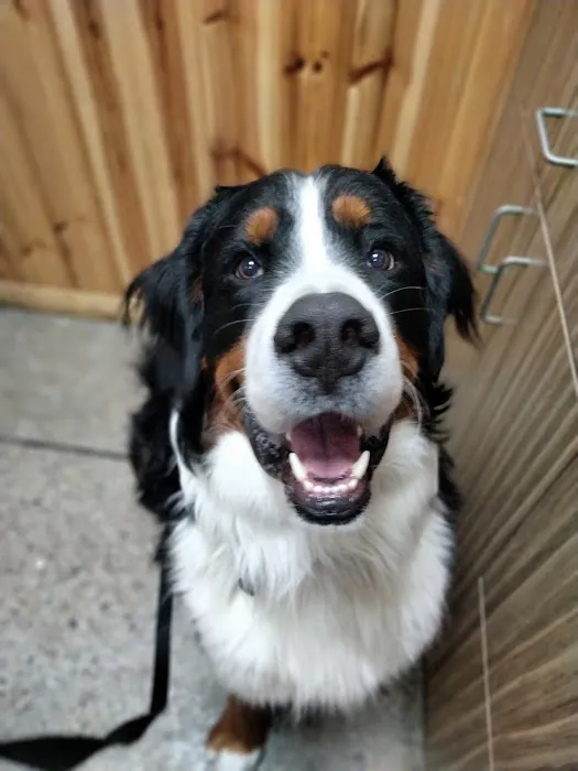 Hancock Veterinary Services of Bella Vista Picture 1