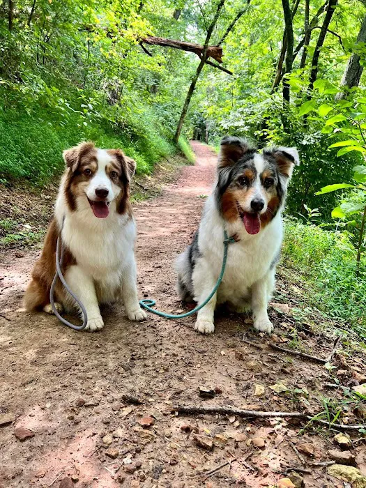 Hancock Veterinary Services of Bella Vista Picture 6