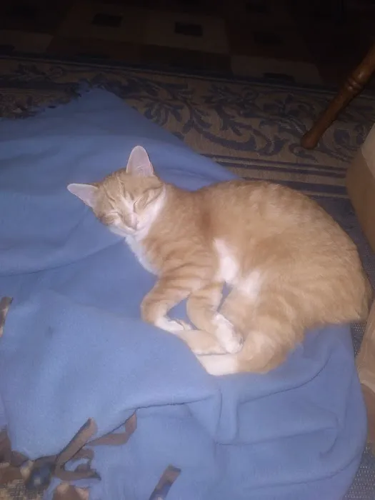 Eastside Animal Clinic Picture 3