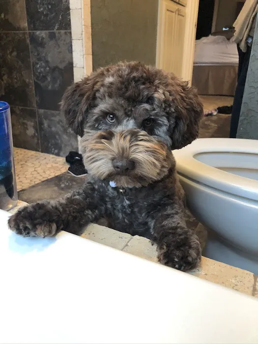 Schumpert Mark DVM Picture 1