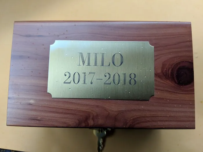 Bella Vista Animal Hospital Picture 6