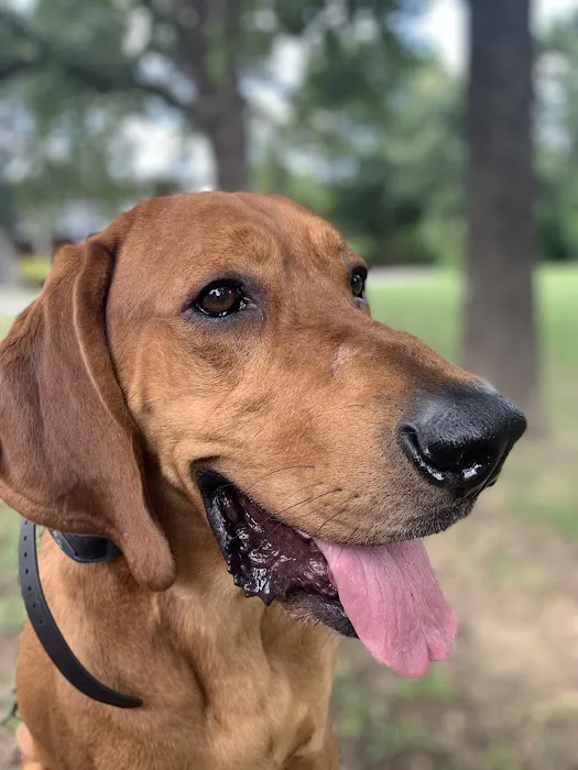 Bella Vista Animal Hospital Picture 8