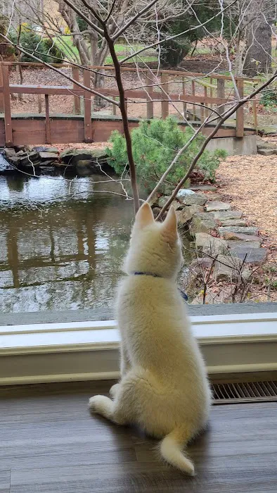 Grant Veterinary Clinic Picture 7