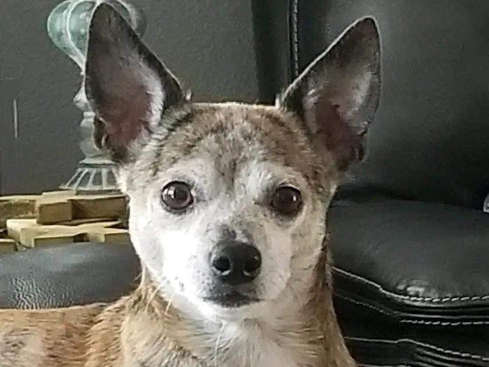 Grant Veterinary Clinic Picture 10