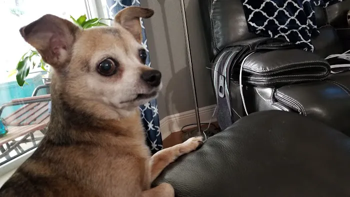 Grant Veterinary Clinic Picture 9