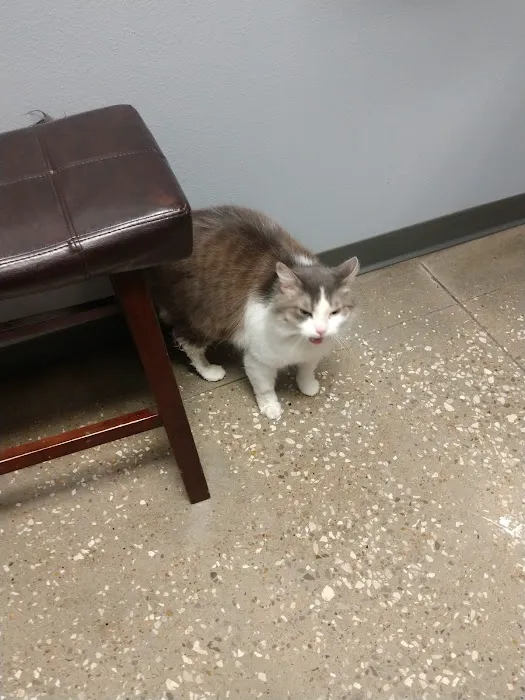 Village Pet Hospital: Hayden Patrick DVM Picture 1