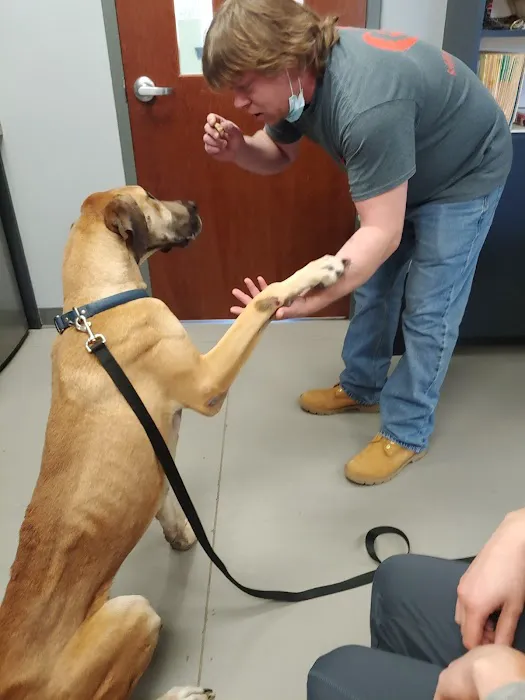 Village Pet Hospital: Hayden Patrick DVM Picture 7