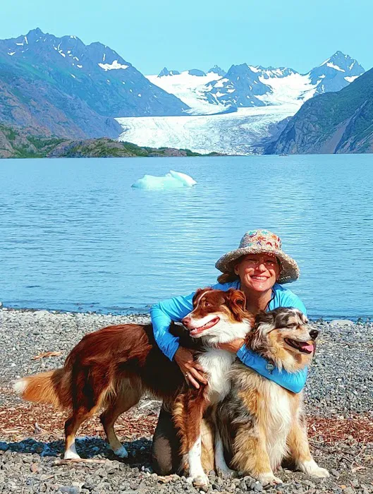 Village Pet Hospital Picture 3