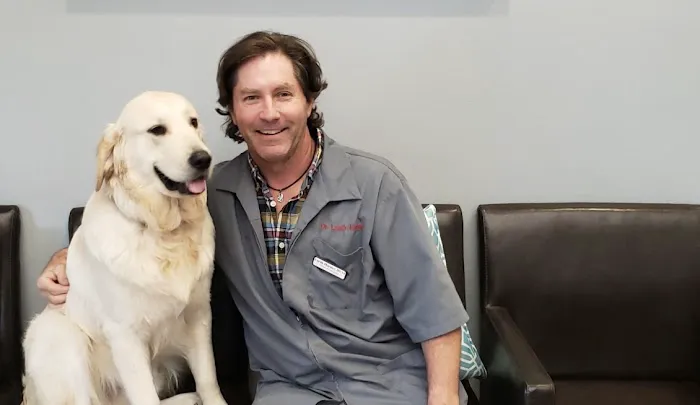 Village Pet Hospital Picture 2