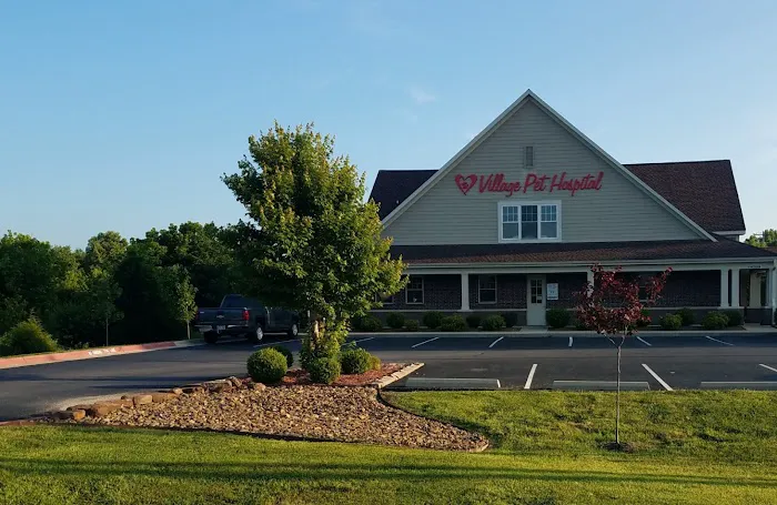 Village Pet Hospital Picture 6