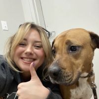 Cedar Creek Veterinary Clinic LLC ico