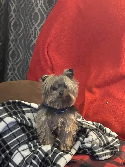 Cedar Creek Veterinary Clinic LLC Picture 7